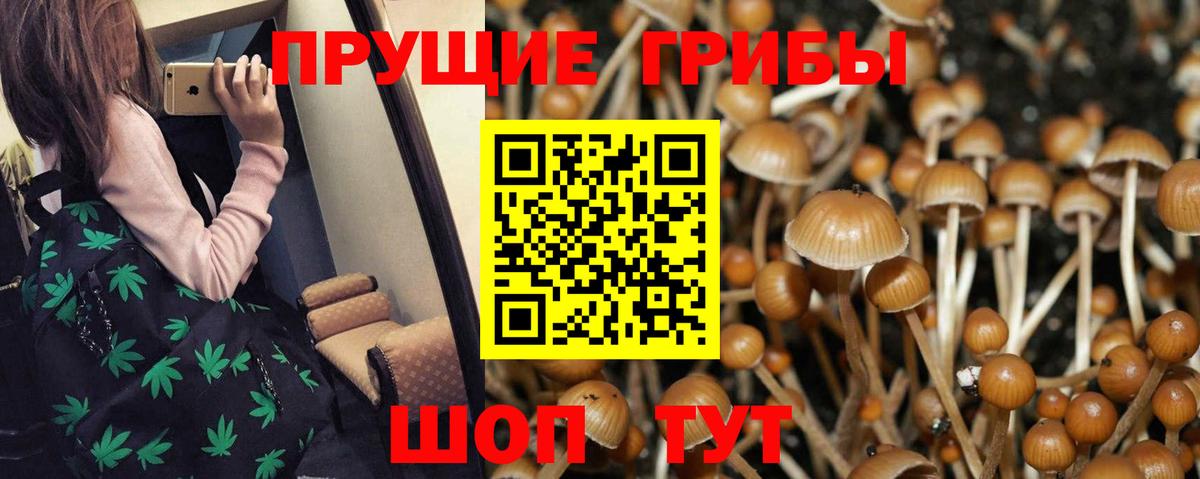 Галлюциногенные грибы прущие грибы Ейск